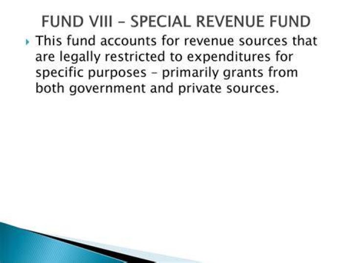 What is the purpose of the special revenue fund?