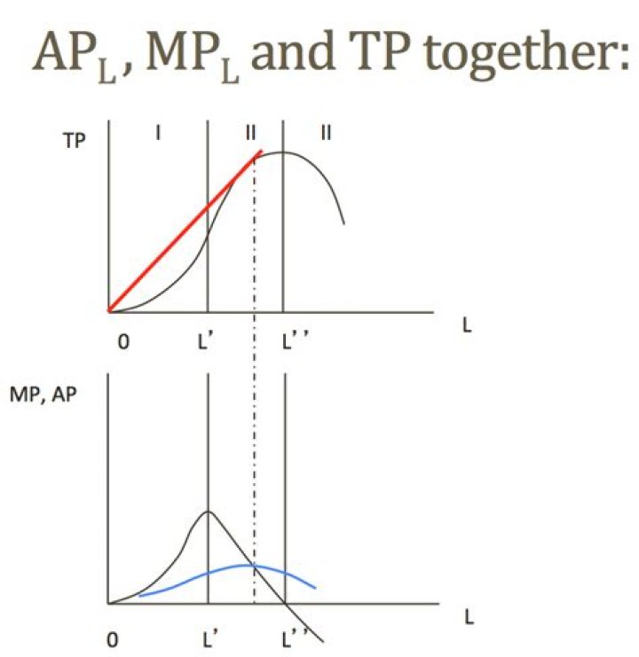What is the relation between APL and MPL?