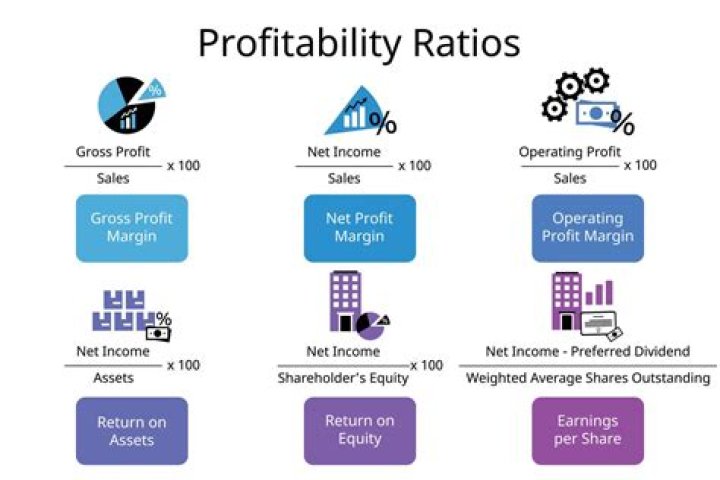 What is the relation between profit profitability and risk?