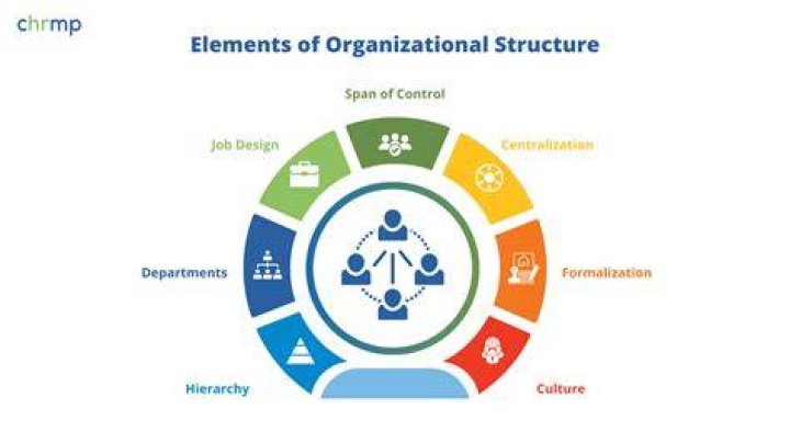 What is the relationship between age and the organizational issues of productivity?