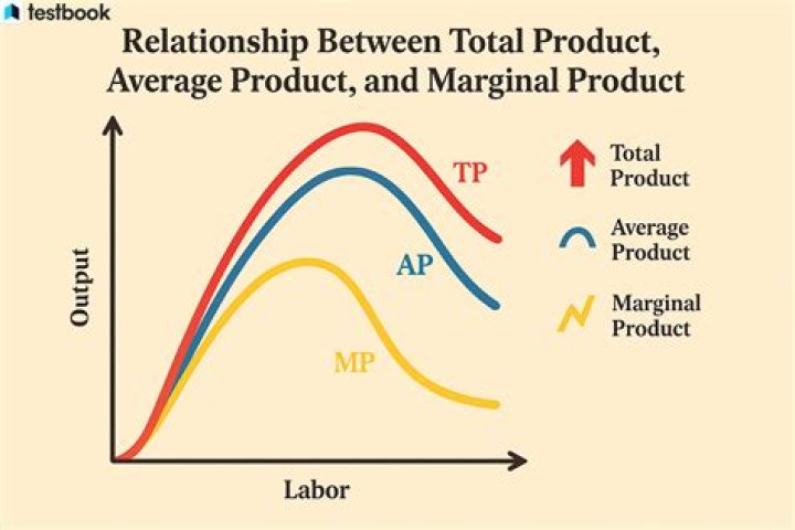 What is the relationship between the average product and marginal product?