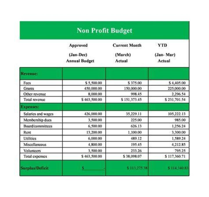 What is the role of budgets and performance reports?