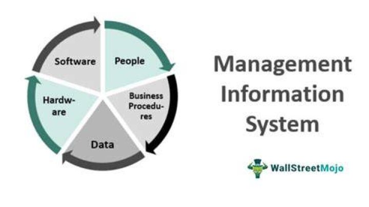 What is the role of information system in business today?