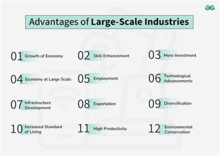 What is the role of large scale industries in economic development?