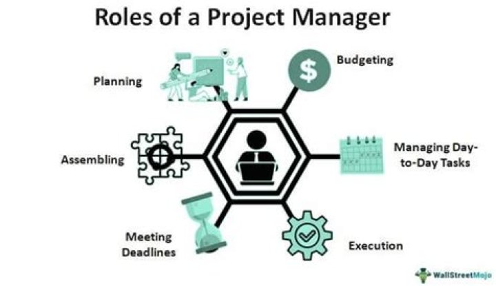 What is the role of project manager in a project?