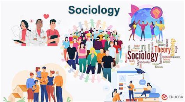 What is the role of sociology in the world?