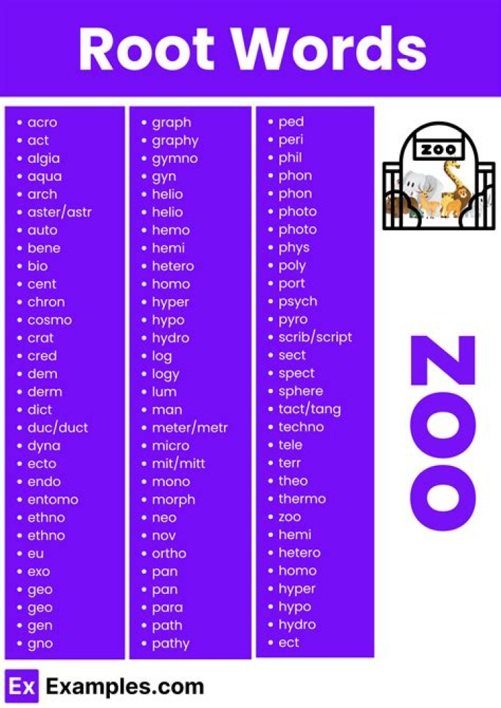 What is the root word for linear?