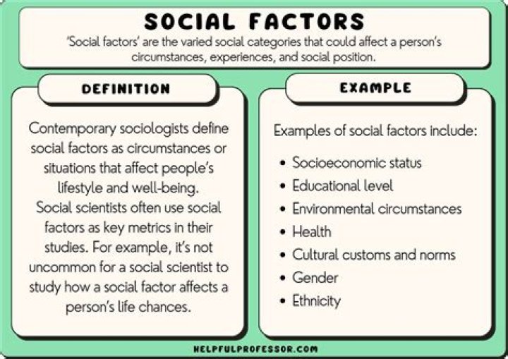What is the term for a subgroup of individuals or organizations sharing one or more characteristics that cause them to have relatively similar product needs?
