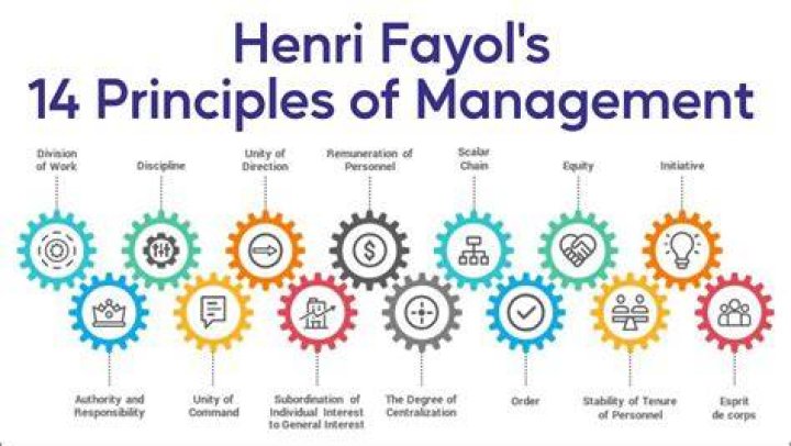 What is theory Y in principles of management?