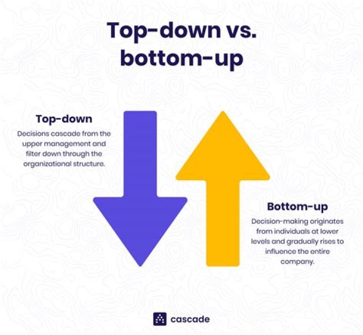 What is top-down and bottom-up examples?
