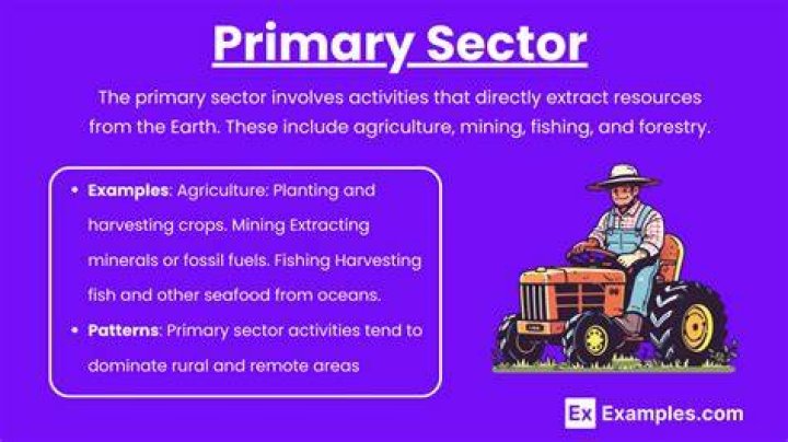What jobs are in the primary sector?