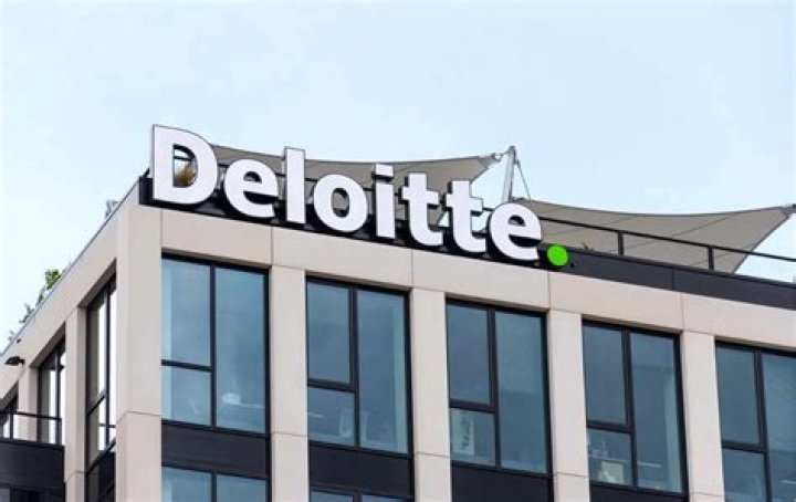 What kind of company is Deloitte and Touche?