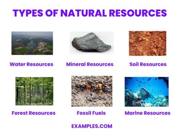 What natural resources are available in the Andes Mountains?