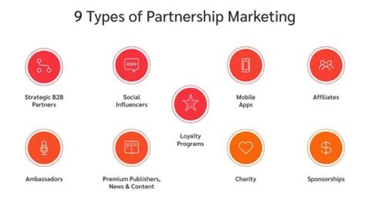 What percentage is a partnership?