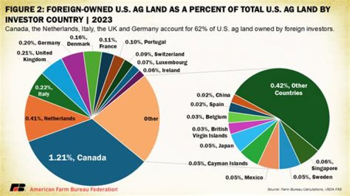 What percentage of America is owned by foreigners?