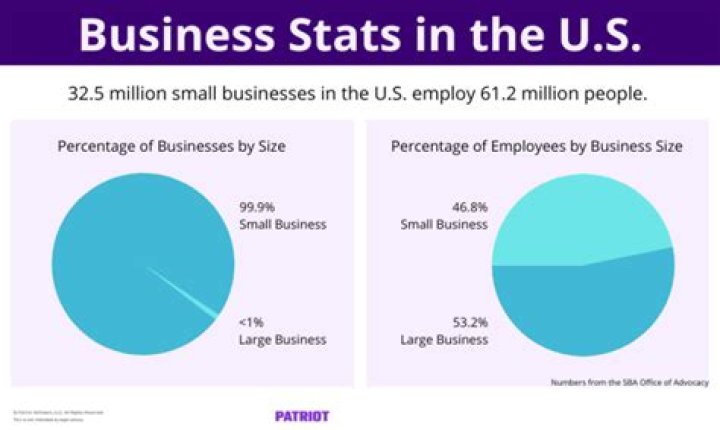 What percentage of businesses are in debt?