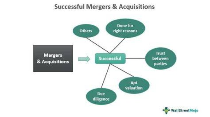 What percentage of mergers are successful?