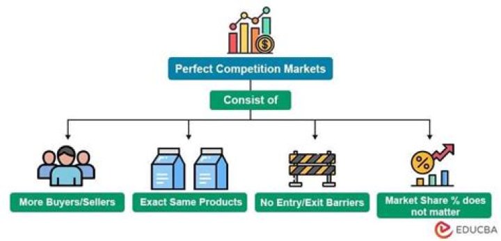 What prevents the seller in perfect competition to influence the price?