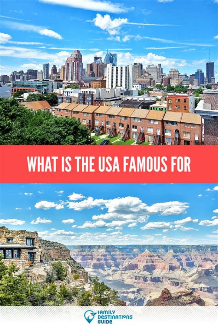 What products is USA famous for?