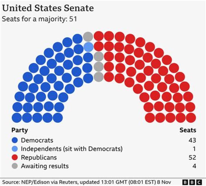 What race is the majority in the US 2019?