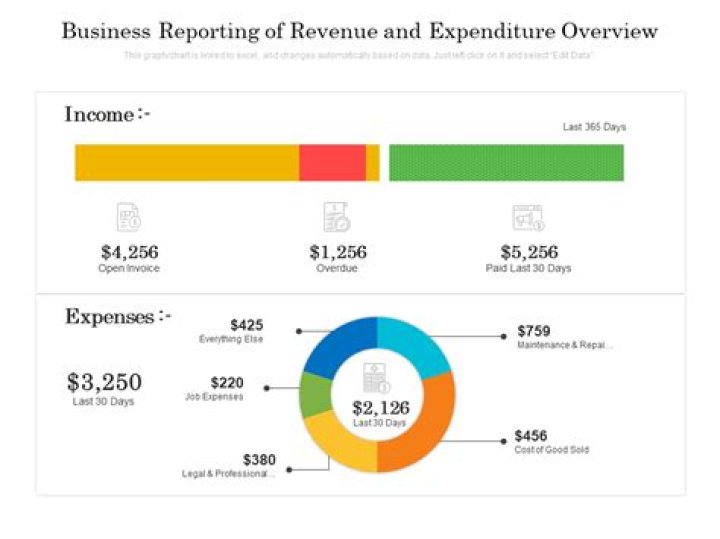 What report shows revenue and expenses?