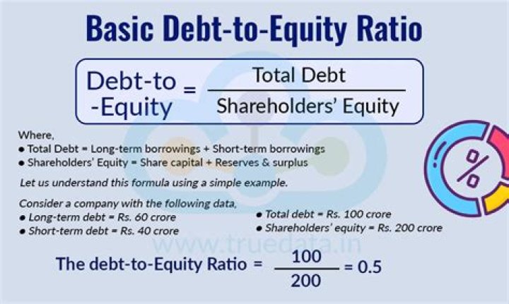What should be the debt-to-equity ratio in an organization?