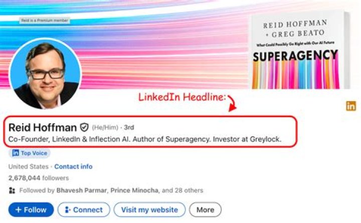 What should be written in profile headline?