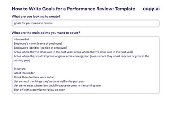 What should I write for performance goals?