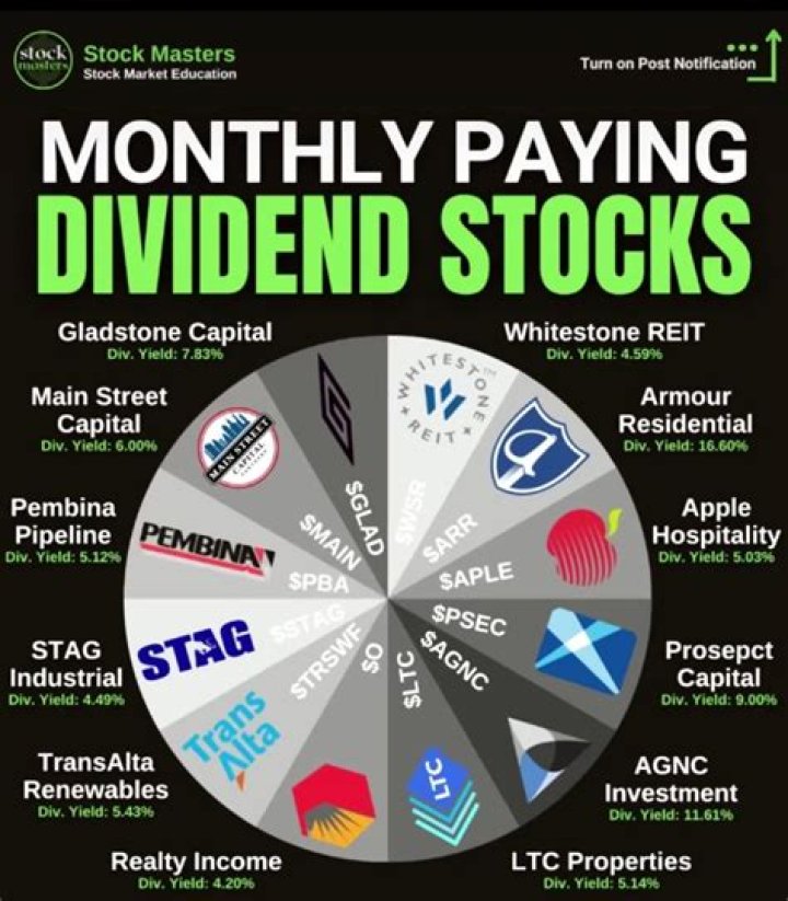 What stock paid the highest dividend?