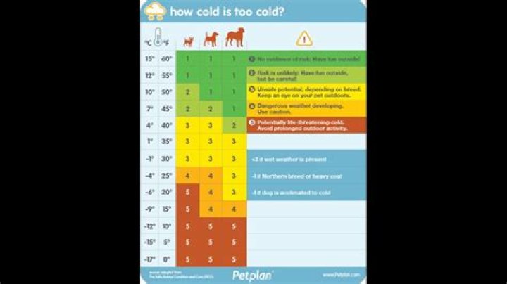 What temperature is too cold for a pool?