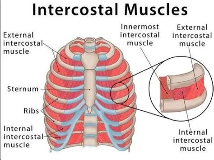 What the difference between internal and external growth?