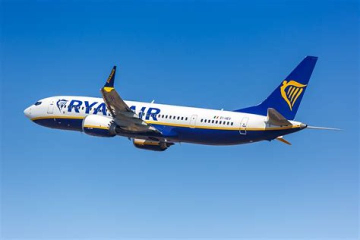 What type of business is Ryan Air?