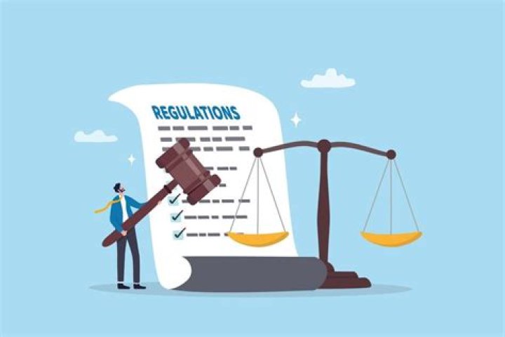 What types of regulations does the government put on businesses?