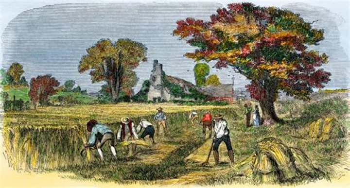 What was life like in England in the 1800s?