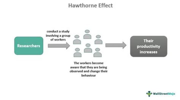 What was the purpose of the Hawthorne Effect?