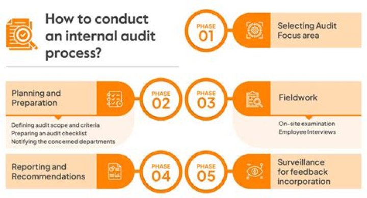 When did internal auditing start?