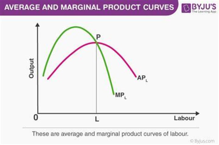 When the average product is decreasing marginal product?