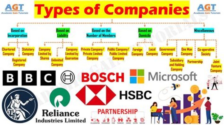 When two or more companies merged together and incorporate a new entity it is called?