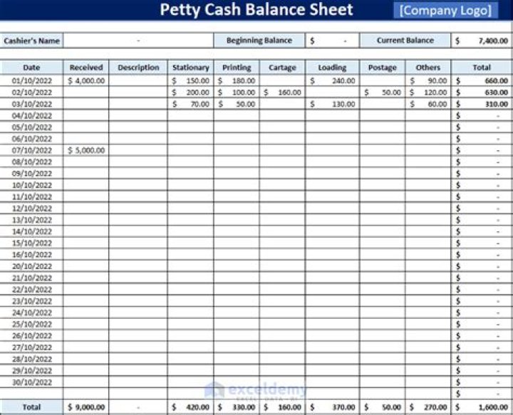 Where does petty cash fund go on the balance sheet?