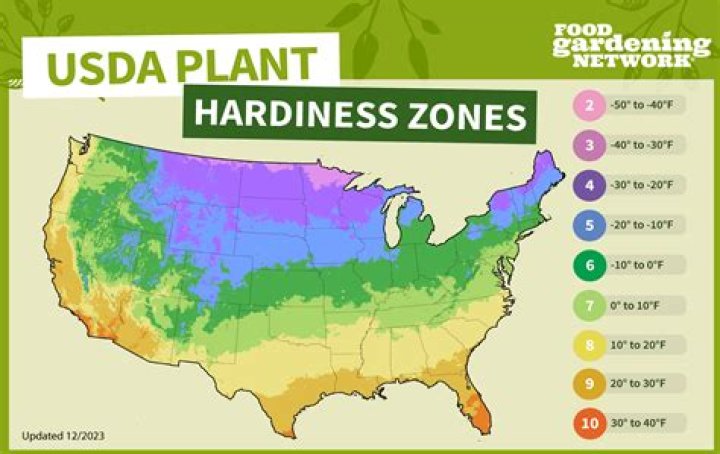 Where is the best place to grow tea?