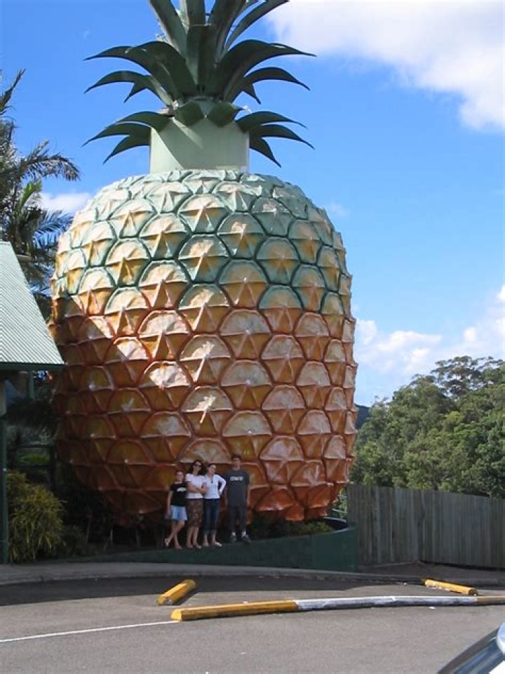 Where is the giant pineapple located?