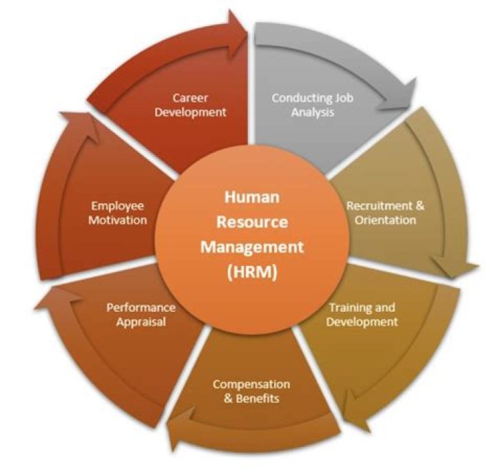 Which activities of the Human Resource management HRM process ensure that competent employees are identified and selected?