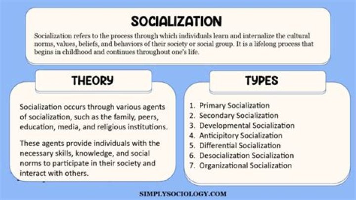 Which are the most important factors in political socialization quizlet?
