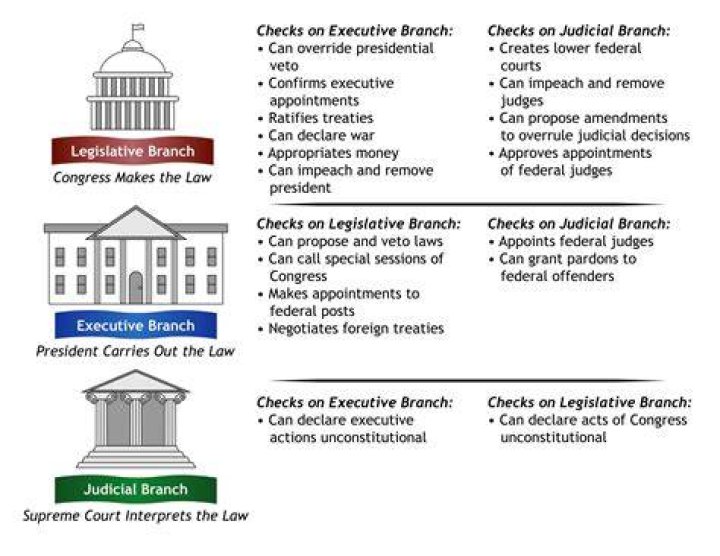 Which branch of government has the power to check the law?