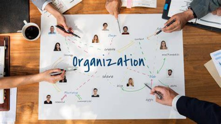 Which business organization is the least common business organization?