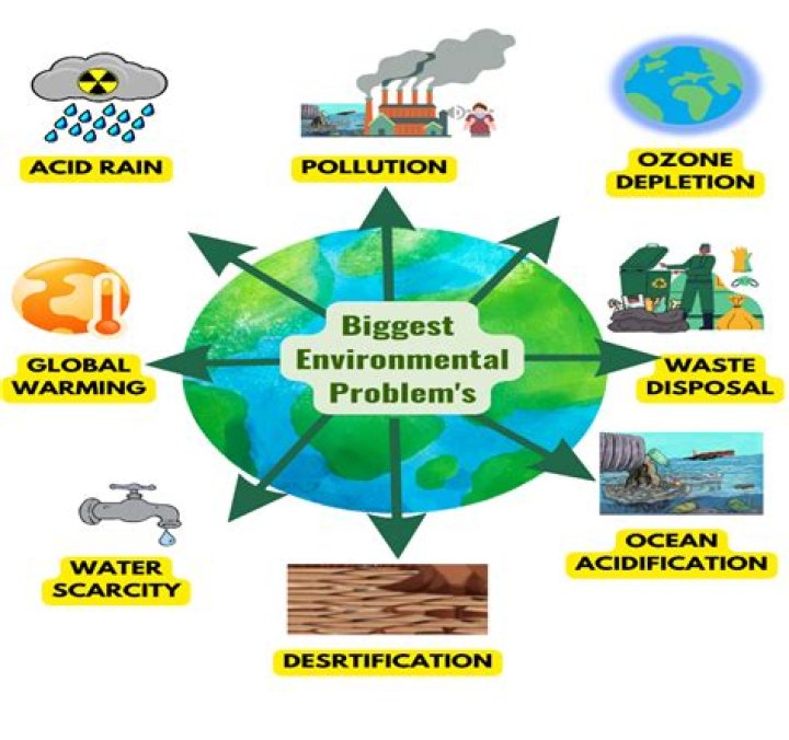 Which environmental issue is the most neglected one as per the survey?