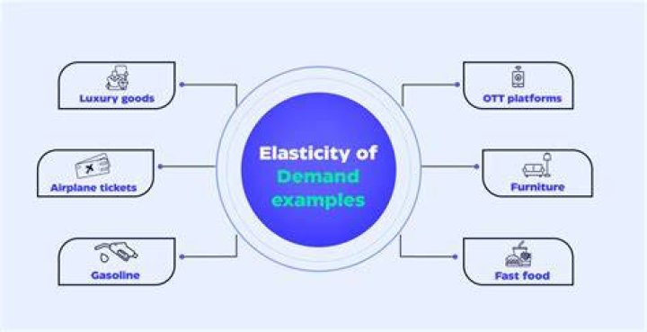Which is an example of the elasticity of demand?