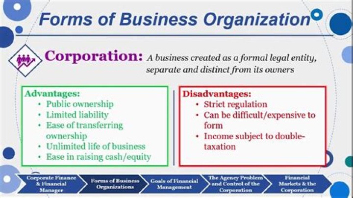 Which is the most common form of business organization?