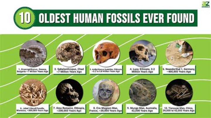Which is the oldest human business?