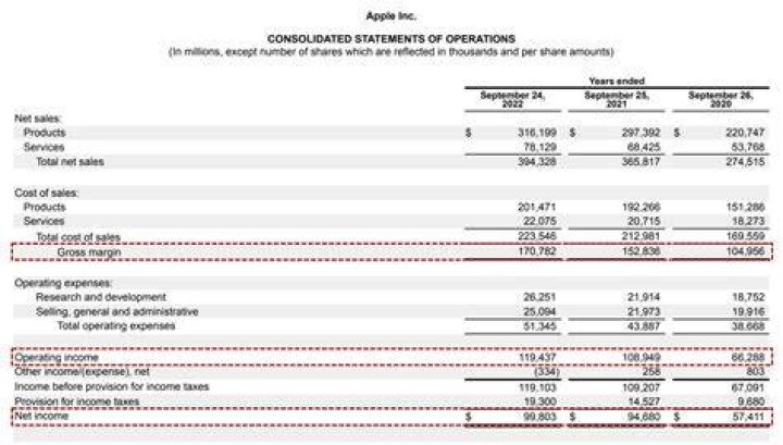 Which items are not included when determining income from operations?